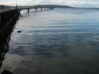 Des Moines pier