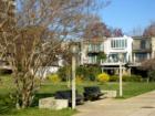 Fee Simple Townhouses with a water view in SW DC