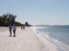 Sanibel Island at Low Tide