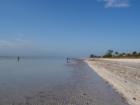 Sanibel Island beach at Low Tide 01-12-08