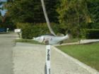 Snook Mailbox on Sanibel