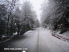Pictures of the first snow fall of the season.  Just outside of Millville, in pine township.
      Courtesy Janeen Fisk www.fisk4homes.com