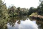 Gamble Creek - Parrish Florida