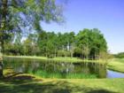 The Woodlands Village Of Cochrans Crossing