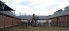 Stables on Fort Myer.  Horses are used in matched set of either white or black for events.
       ©2008 Cindy Jones 
