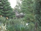 My favorite lawn ornament
