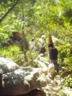 We could not believe the size of vegetation!