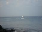 Ar120025071163385_l