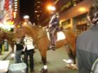 New York's finest patroling the Times Square area on horseback.