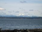 A beautiful view toward Stanwood and the Cascades.