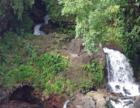 Little waterfall at Kolekole Park