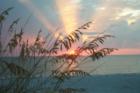 Belleair Beach Sunset