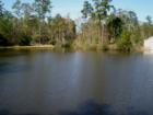 The Pond at Alden Bridge Park