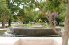 Fountain at Marion Park, corner of King St. & Calhoun St.