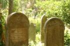 Tombstones ( St John's Cemetary )