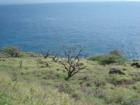 Leeward Coast