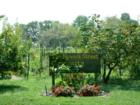The Newark Street Community Garden