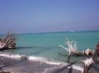 Beach Scene on Longboat Key