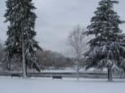 Wedge Pond in Winchester