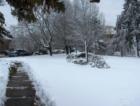The park at Wedge Pond