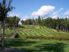 Glen Arbour Golf Course