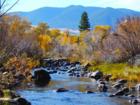 Scenic stream near Sheridan, WY