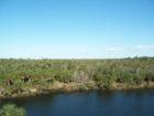 View from Obervation tower at Linda Pedersen Park looking toward Spring Hill