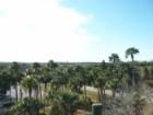 Linda Pedersen Park looking toward Pine Island