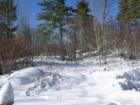 Winter in all it's glory!