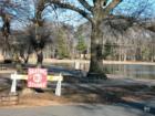 Ridgewood's Saddle River County Park in Bergen County, New Jersey 