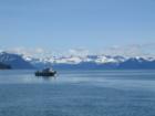 Near Bligh Island, Prince William Sound - Valdez Alaska
