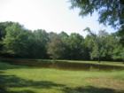 Bloody Pond - Shiloh National Military Park - Shiloh, Tennessee