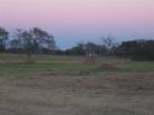 gorgeous sunset