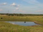 stock tank in rural Seguin 