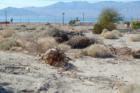 North Shore of Salton Sea Area