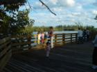 Peck Lake Park- This is the boardwalk at the end of the trail and catwalk.
Peck Lake Park is located off the north leg of Gomez in Hobe Sound.
Amenities: restrooms, water fountain, picnic tables, nature walk and pavillion on the intracoastal