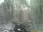Brandywine Creek at Osborne Rd