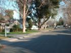 View of 10th Avenue in Land Park facing the East