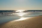 Robert Moses State Park Beach- Lot #5