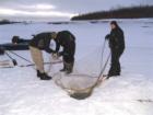 Ice Fishing in the Bush