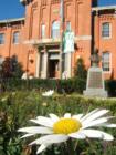 Flowers in front of City Hall