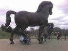 DaVinci's Horse Sculpture Meijer Gardens