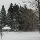 The park on Forest St in Littleton
