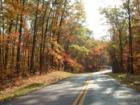 Spectacular fall colors in Madison County!