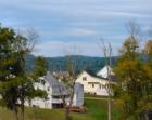 Homes in Village of Arcadian Springs