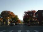 Magnolia Avenue