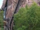 Expedition Everest Animal Kingdom
      Big Drop