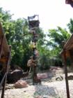 Walt Disney World
      Jungle Cruise
      Get the point.