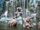 Jungle Cruise-
      Elephant Bathing Pool