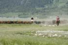 Cowboys at the Snake River ranch just past Teton Village in Jackson Hole